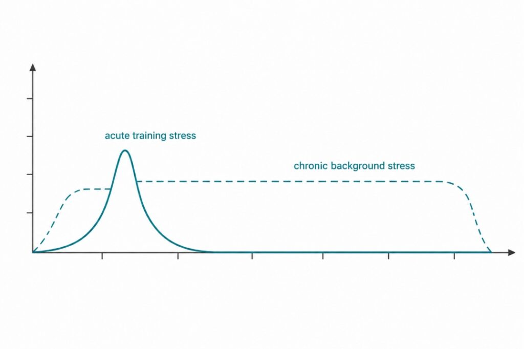 cortisol-and-muscle-growth 